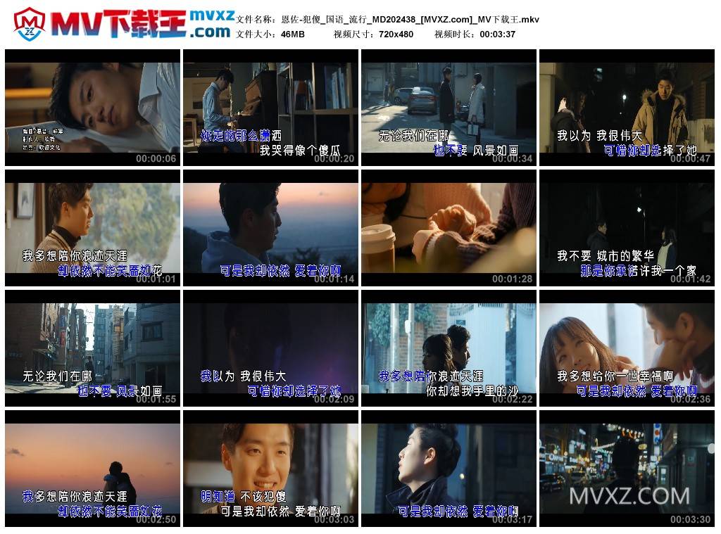 恩佐-犯傻_国语_流行_MD202438